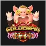 golden-pig-777