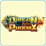 Dragon vs Phoenix